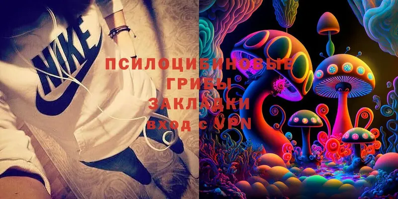 Галлюциногенные грибы Magic Shrooms  Вичуга 